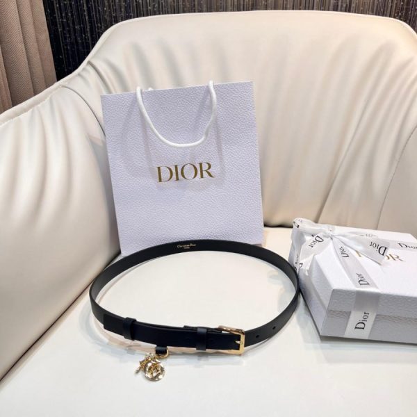 Belt Dior 1 1 - Belt Dior