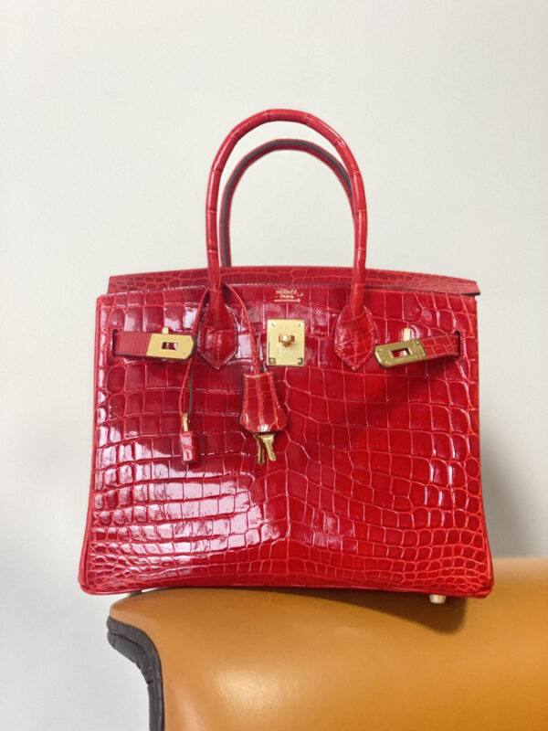 Tui Xach Hermes Birkin 25 Da Ca Sau 1 Túi Xách Hermes Birkin 25 Da Cá Sấu