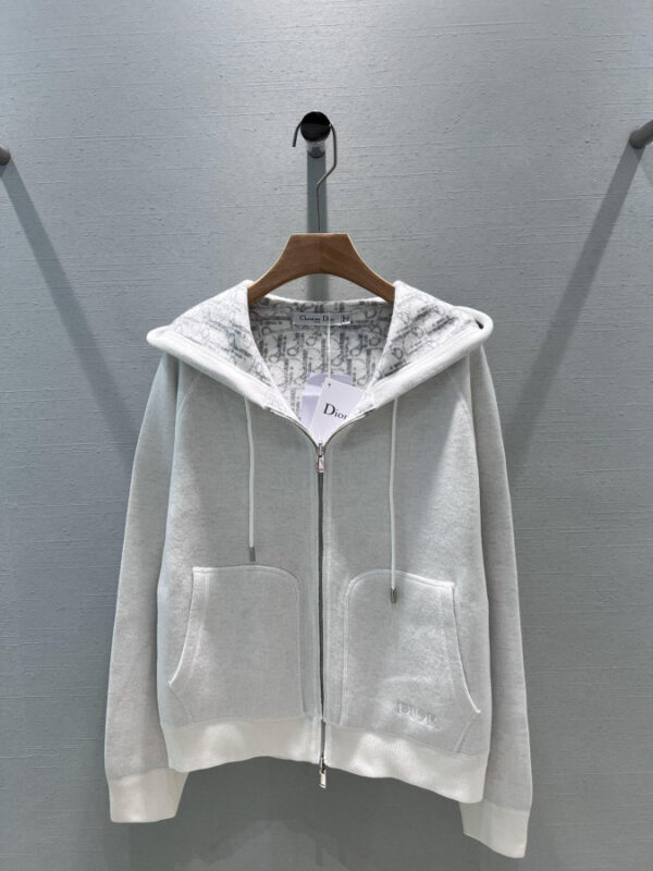 Áo Hoodie Dior